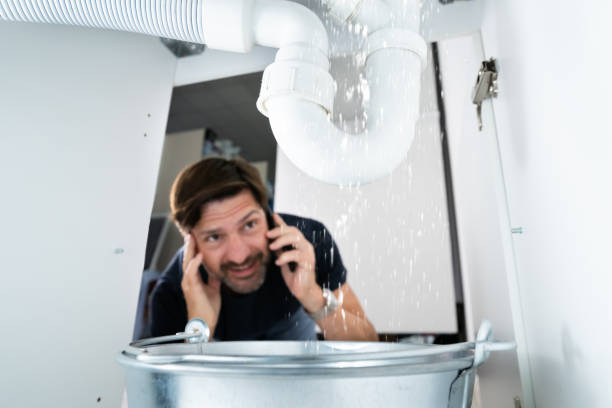 Best Sprinkler Systems  in Brighton, AL
